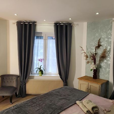 Mirka & Franck Apartment Chic 4 Stars Parking Free Colmar Exterior photo