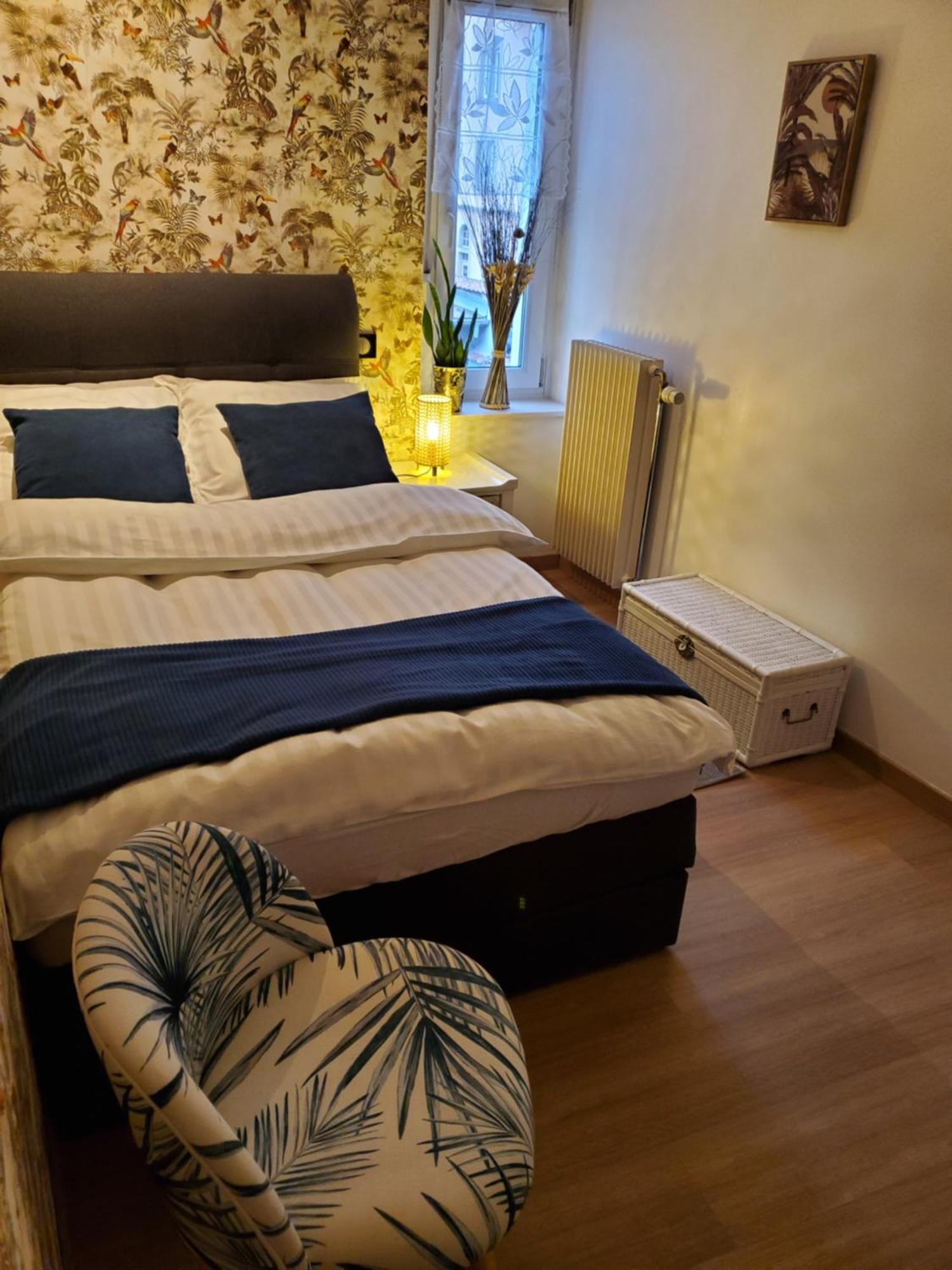 Mirka & Franck Apartment Chic 4 Stars Parking Free Colmar Exterior photo