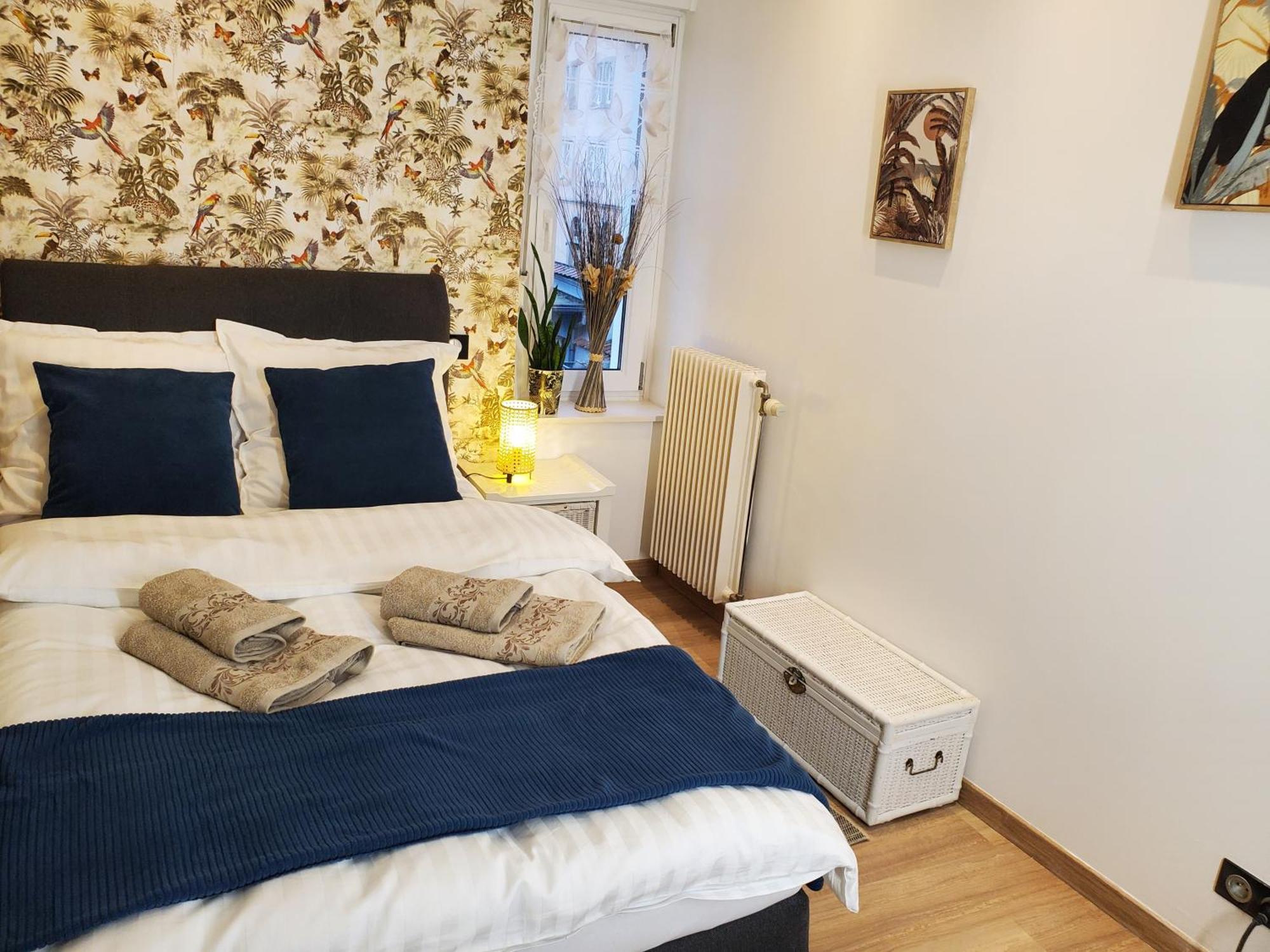 Mirka & Franck Apartment Chic 4 Stars Parking Free Colmar Exterior photo